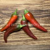 Peperoncini
