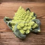 Romanesco