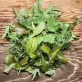 Babyleafsalat Tages-Mischung