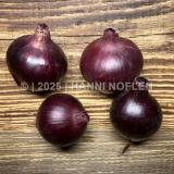 Zwiebeln Rot