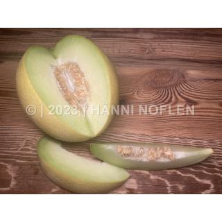 Melonen Galia grünfleischig