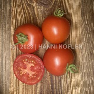 Tomaten