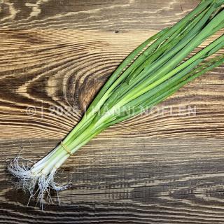 Bundzwiebeln "Weihnachts-Edition"