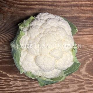 Blumenkohl