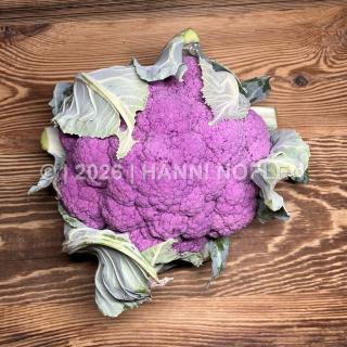 Blumenkohl farbig