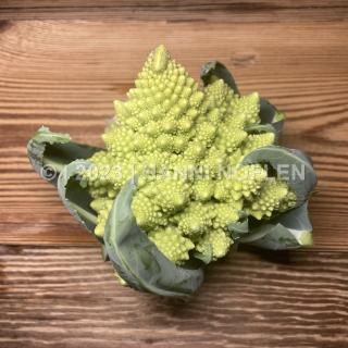 Romanesco