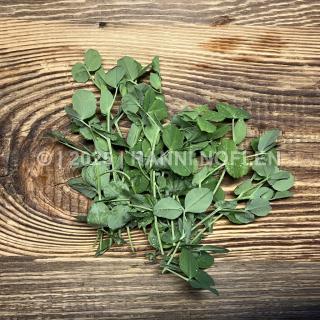 Babyleaf- Salate "Erbssprossen"