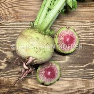 Melonenrettich