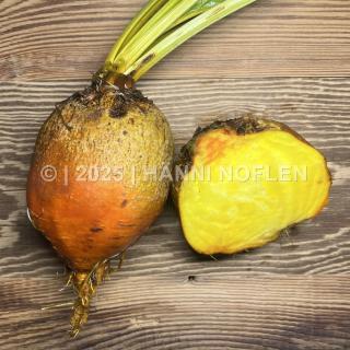 Randen golden