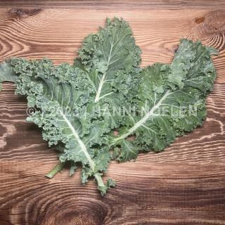 Federkohl