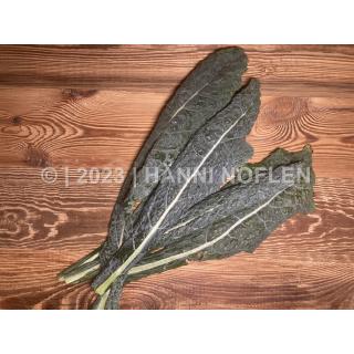 Cavolo nero