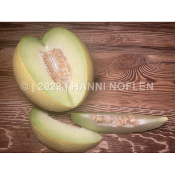 Melonen Galia grünfleischig