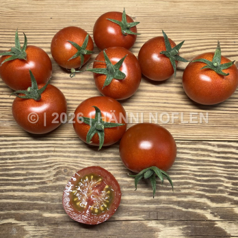Cherry-Tomaten Sakura