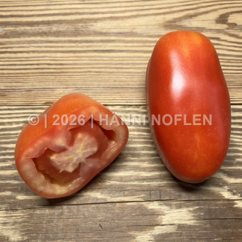 Tomaten Marzano