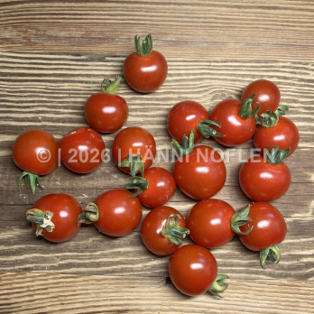 Cherrytomaten Sweet Aperitiv