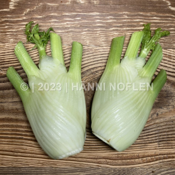 Fenchel