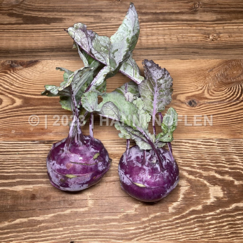 Kohlrabi blau Kg