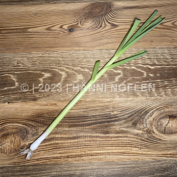 Knoblauch frisch ST