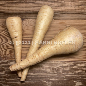 Pastinaken