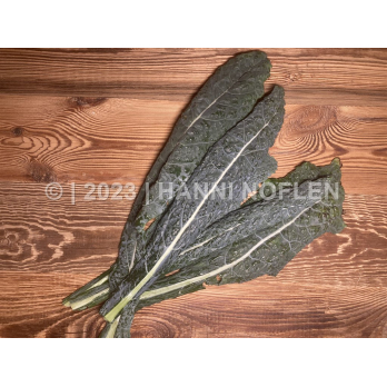 Cavolo nero