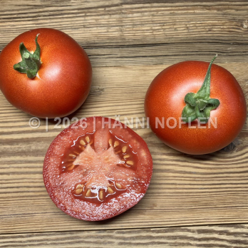 Tomaten Cristal