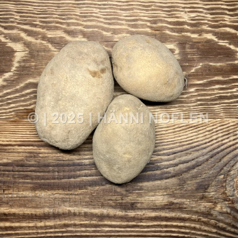 Kartoffeln weichkochend Jelly